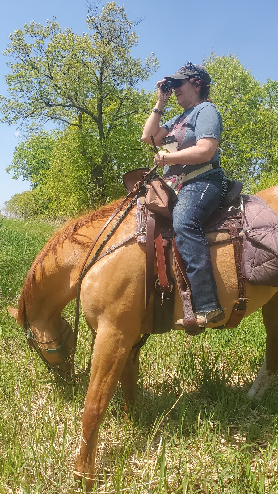 Rebecca Park Horse Lot | 8495-8933 Rebecca Park Trail, Rockford, MN 55373, USA | Phone: (763) 559-9000