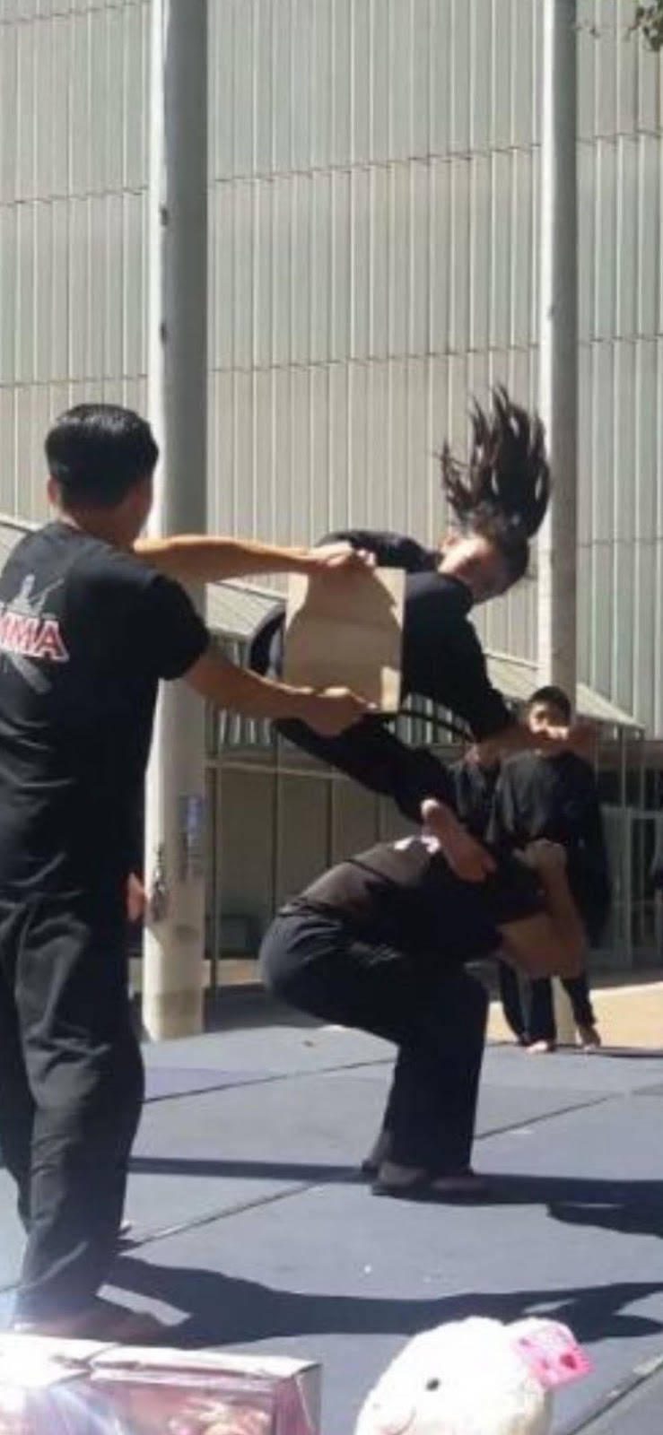 Vietnamese Mixed Martial Arts | 2282 Quimby Rd, San Jose, CA 95122, USA | Phone: (408) 238-1895