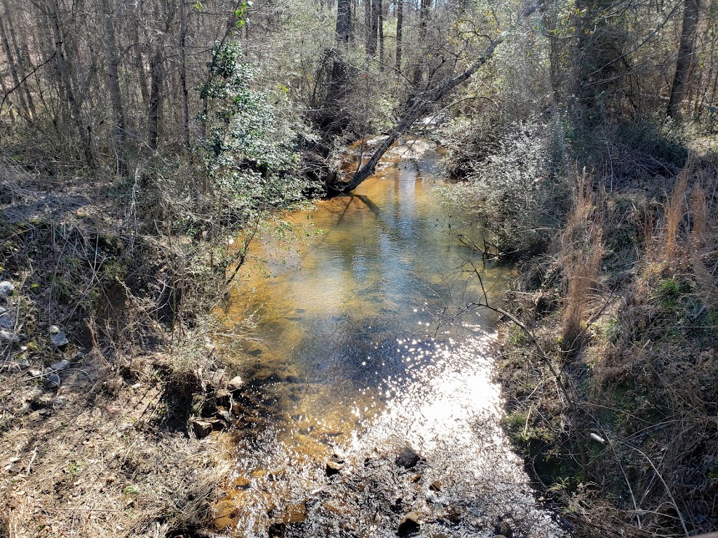 Davidson-Arabia Mountain Nature Preserve | 3787 Klondike Rd, Stonecrest, GA 30038, USA | Phone: (770) 492-5220