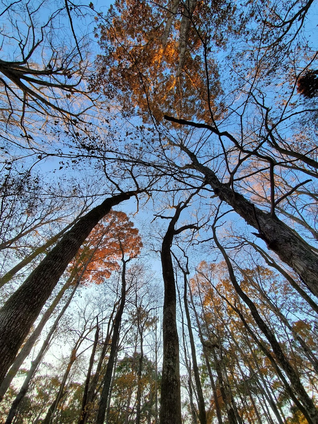 Natchez Trace National Scenic Trail | Garrison Creek Trail, Franklin, TN 37064, USA | Phone: (662) 680-4025