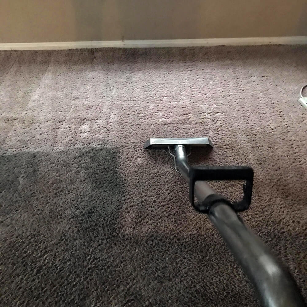 American carpet cleaning | 4308 Brazil Palm Ct, North Las Vegas, NV 89032, USA | Phone: (702) 509-5004