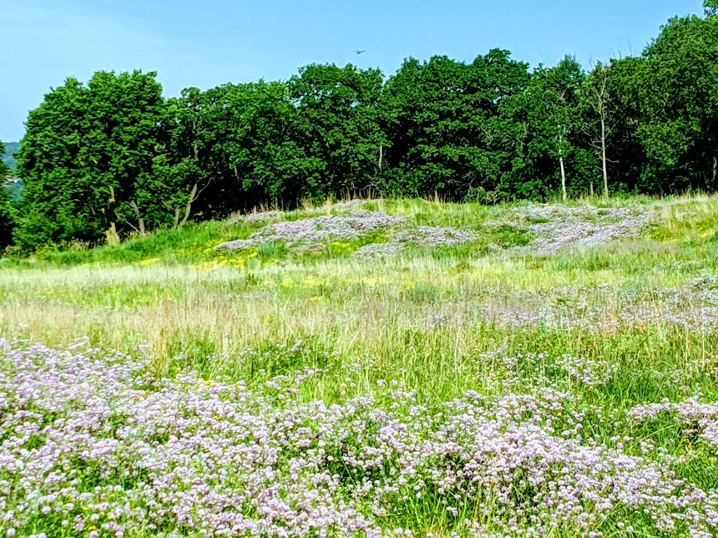 Fish Creek Natural Area | 1487-1507 Henry Ln, Maplewood, MN 55119, USA | Phone: (651) 249-2170