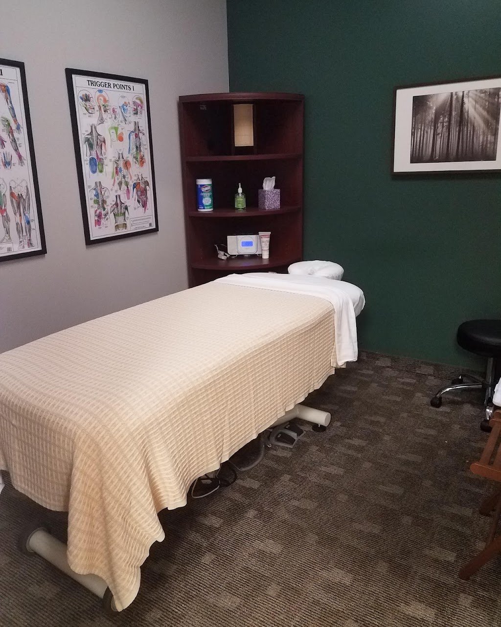 Canterbury Chiropractic | 135 1st Ave E, Shakopee, MN 55379, USA | Phone: (952) 378-1813