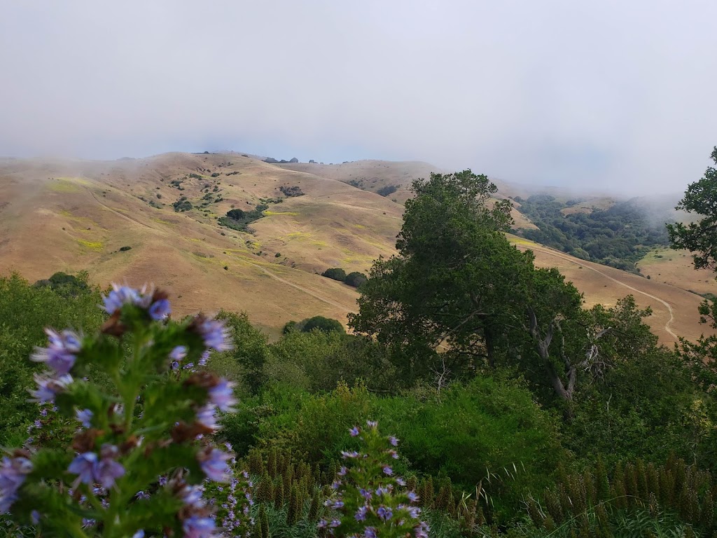 Wildcat Canyon Regional Park | 5755 McBryde Ave, Richmond, CA 94805, USA | Phone: (888) 327-2757