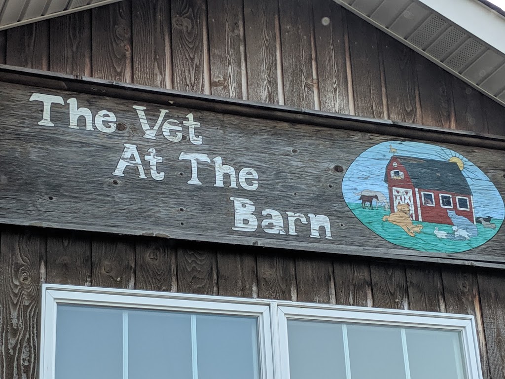 Vet At the Barn | 790 Chestnut Ridge Rd, Spring Valley, NY 10977, USA | Phone: (845) 356-3838