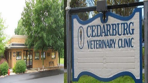 Cedarburg Veterinary Clinic | N143W6475 Pioneer Rd, Cedarburg, WI 53012, USA | Phone: (262) 377-2460