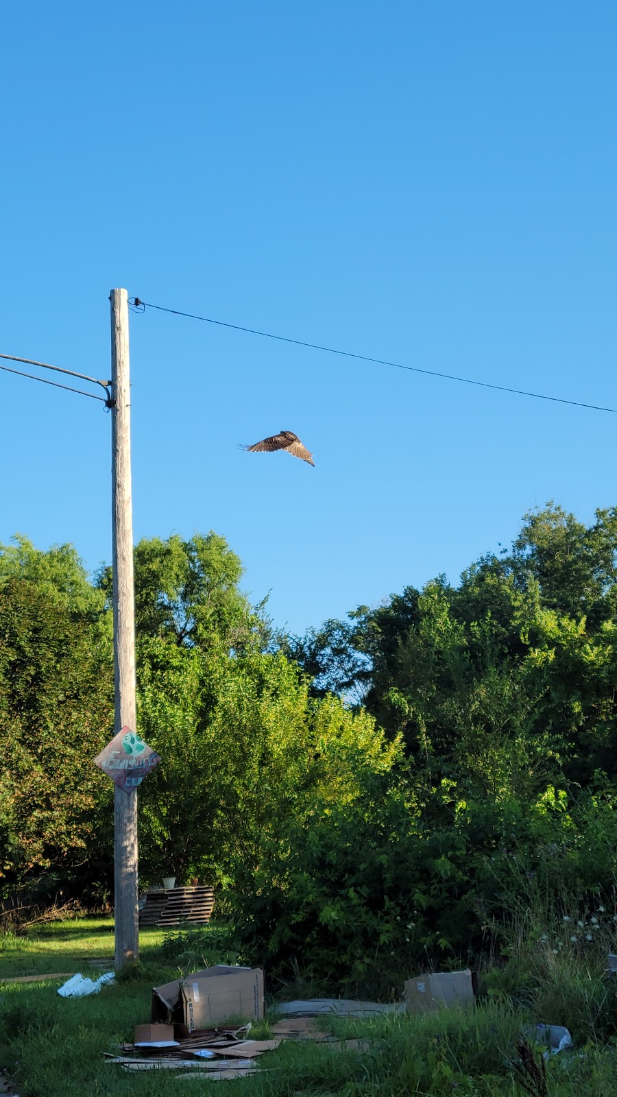 Small Ville Learning Farms | 5862 Malcolm St, Detroit, MI 48213, USA | Phone: (313) 721-8220