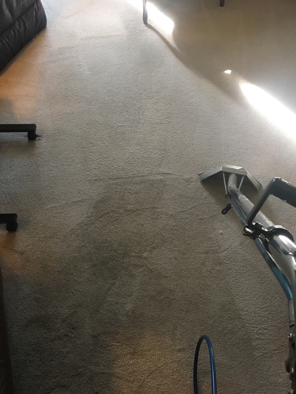 Best Carpet Cleaning Experts | 25900 US-281, San Antonio, TX 78258, USA | Phone: (210) 857-0682