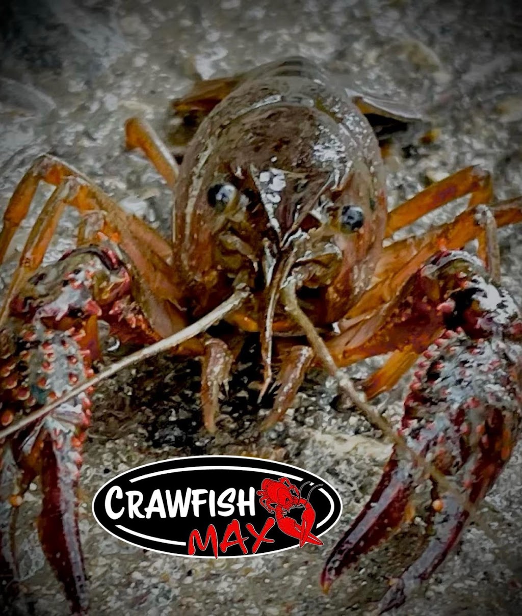 Crawfish MAX | 3480 Airport Dr, Diamondhead, MS 39525, USA | Phone: (228) 223-0102
