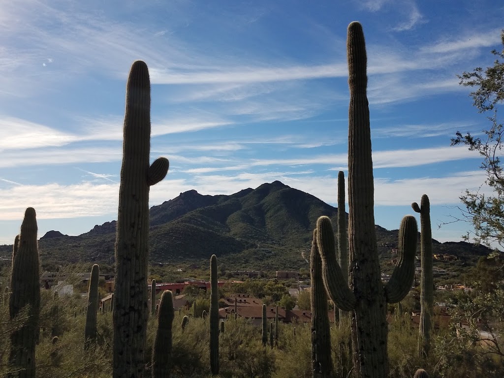 Caroline Bartol Preserve at Saguaro Hill | E Grapevine Rd, Cave Creek, AZ 85331, USA | Phone: (480) 488-6131