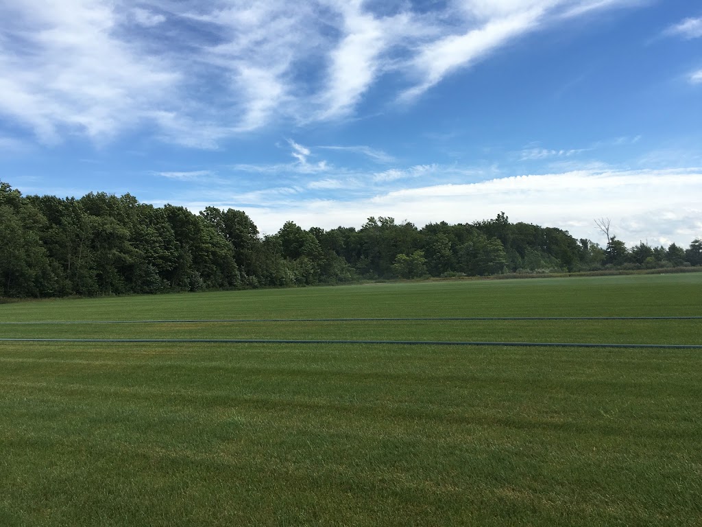 New Lawn Sod Farm, inc | 50200 Martz Rd, Belleville, MI 48111, USA | Phone: (734) 481-0033