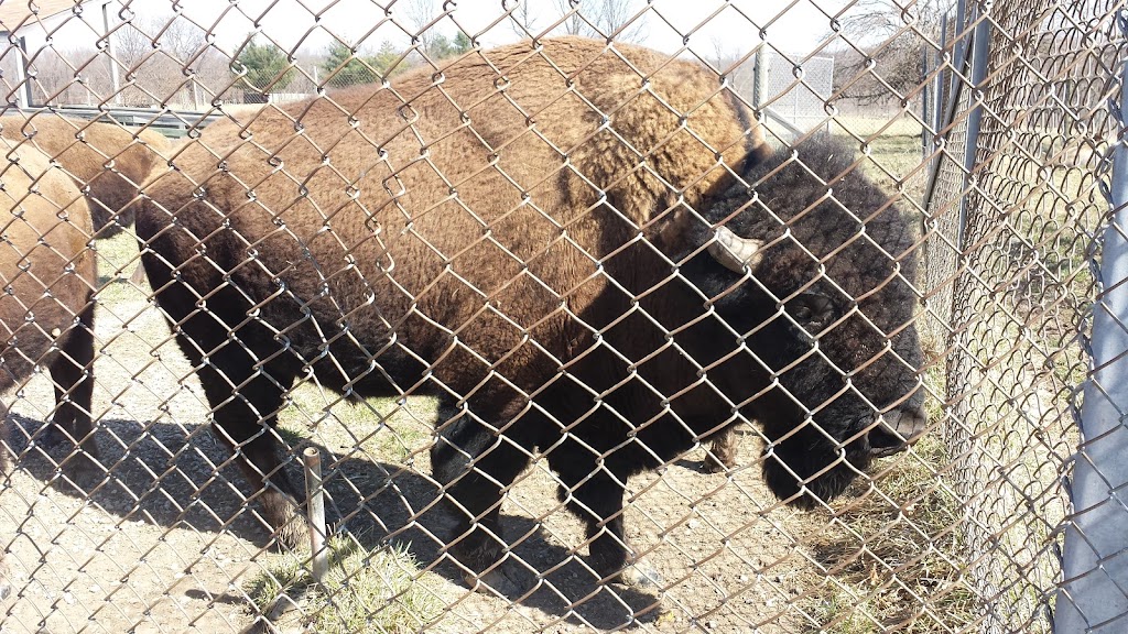 Native Hoofed Animal Enclosure | Lees Summit, MO 64064, USA | Phone: (816) 503-4800