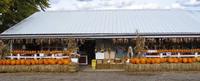 Wittes Vegetable Farm LLC | 10006 Bridge Street, Cedarburg, WI 53012, USA | Phone: (262) 377-1423