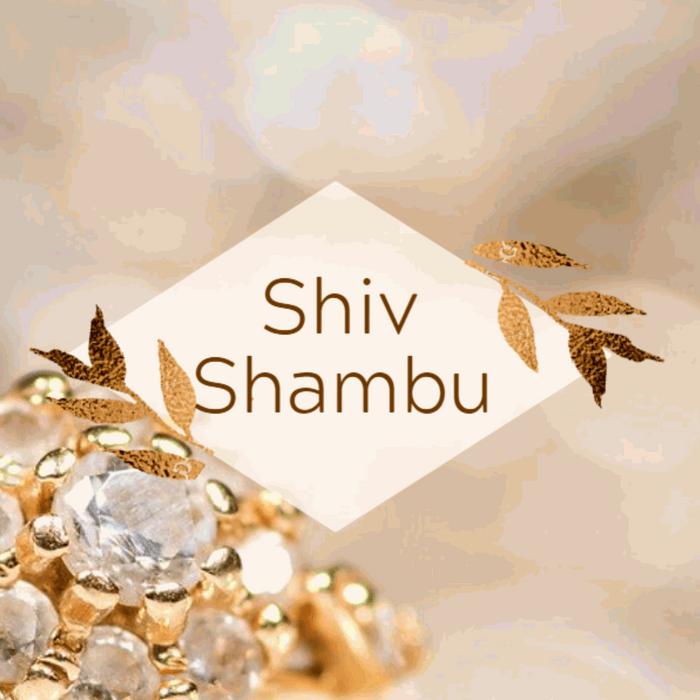 Shiv Shambu | 580 5th Ave Suite 1136, New York, NY 10036, United States | Phone: (212) 937-0765