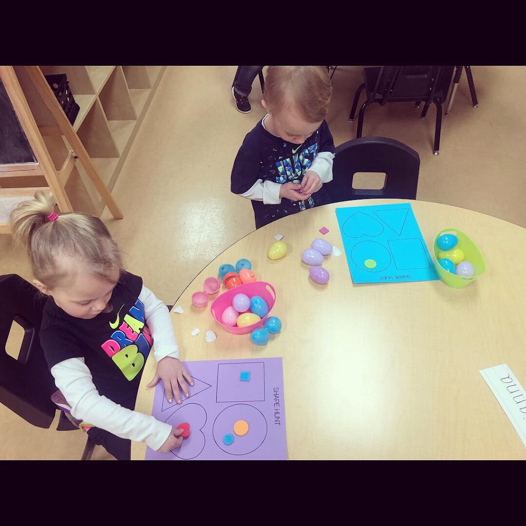 Little Pandas Preschool & Play | 8500 Roll Rd, Clarence Center, NY 14032, USA | Phone: (716) 741-3440