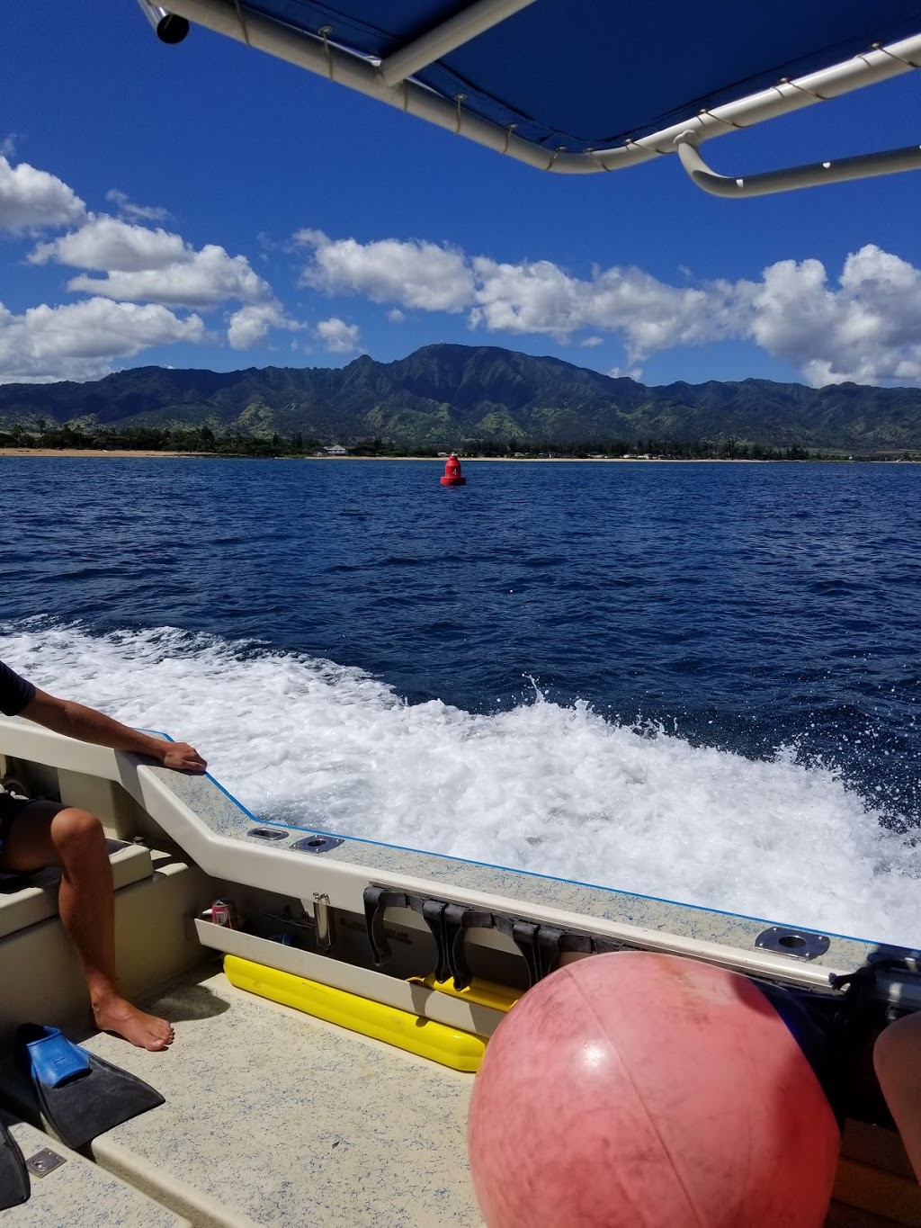 Island View Hawaii | Small Boat Harbor, 66-105 Haleiwa Rd, Haleiwa, HI 96712, USA | Phone: (808) 354-0629