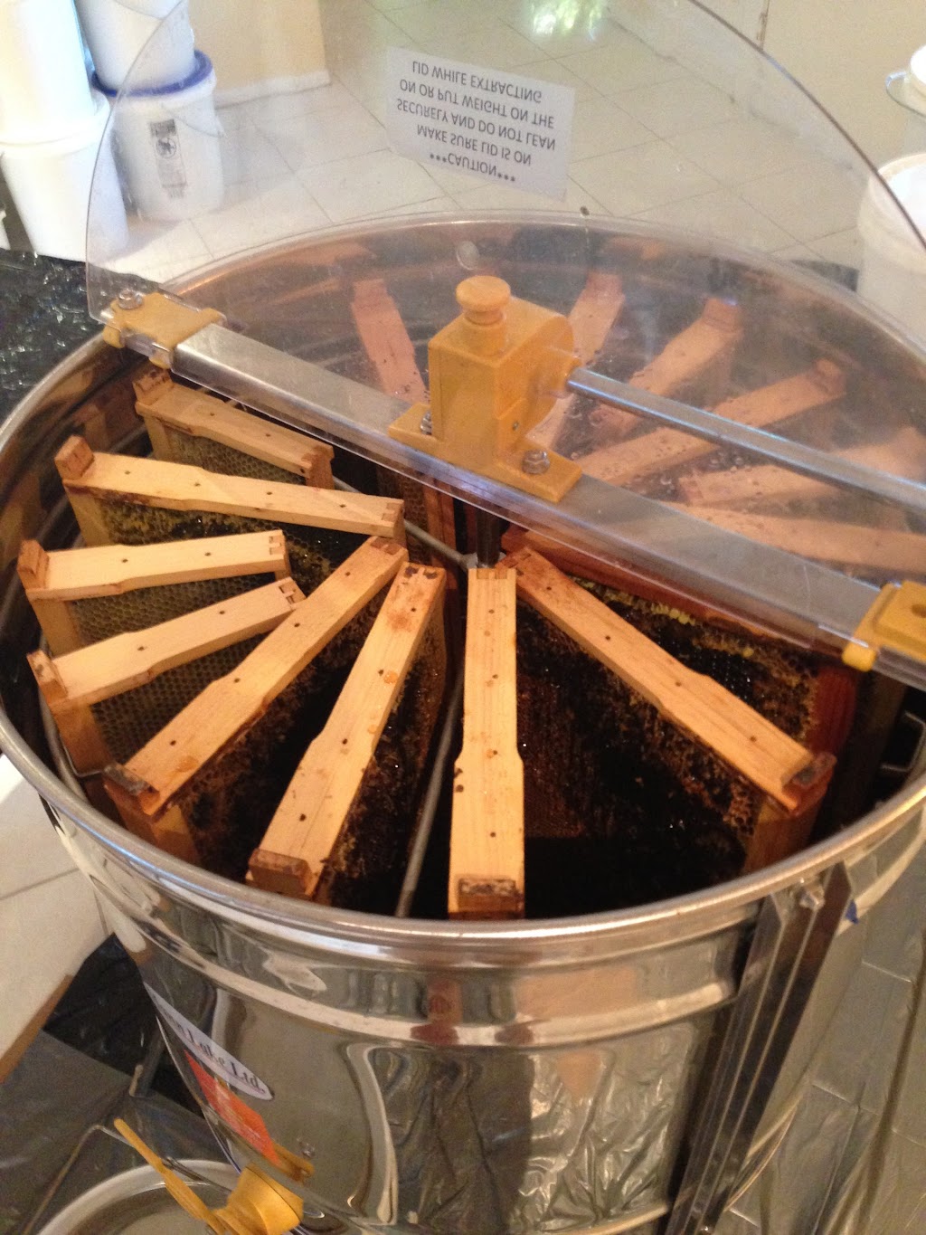 Florida Bee Investigator | 6207 32nd Ave E, Bradenton, FL 34208, USA | Phone: (941) 201-9378