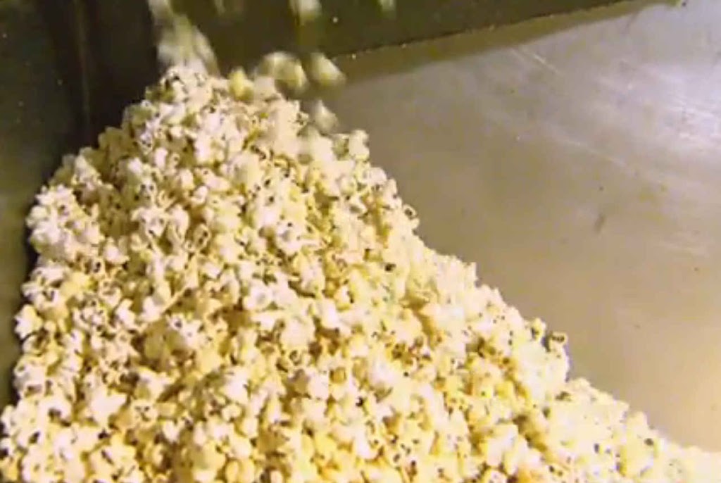 Yadkin Valley Popcorn / Shallowford Farms | 3732 Hartman Rd, Yadkinville, NC 27055, USA | Phone: (336) 463-5938