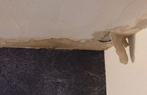 Mold Experts of Macon | 2763 Montpelier Ave, Macon, GA 31204, United States | Phone: (478) 551-3392