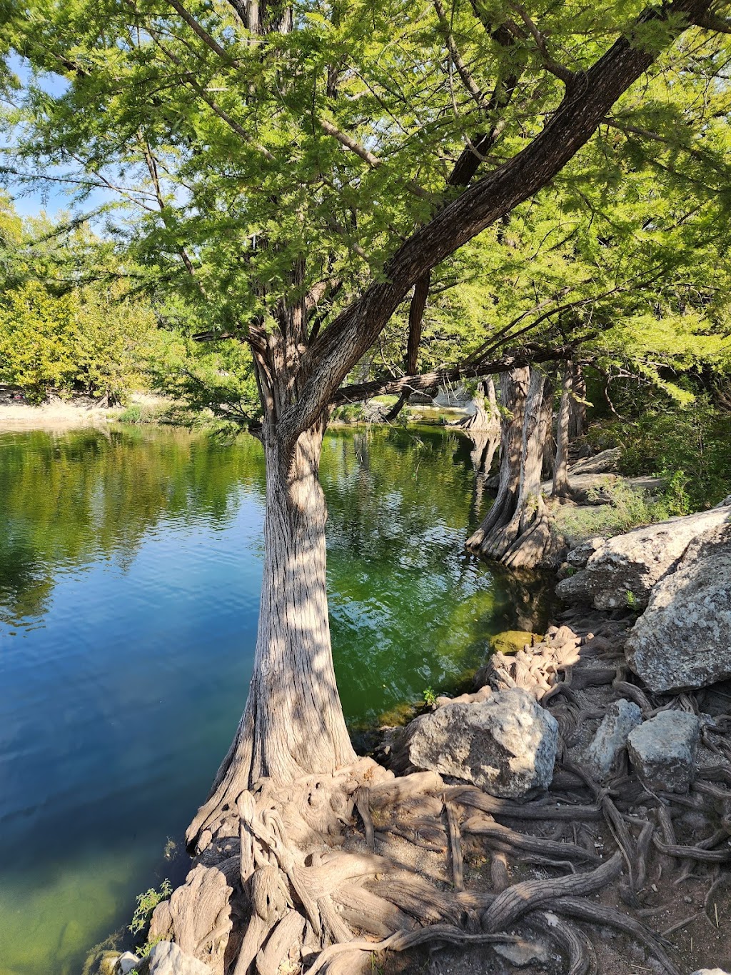 McKinney Falls State Park | 5808 McKinney Falls Pkwy, Austin, TX 78744, USA | Phone: (512) 243-2177