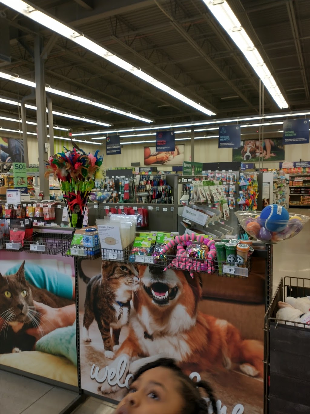 Petco | 660 Chestnut Commons Dr, Elyria, OH 44035, USA | Phone: (440) 406-5048