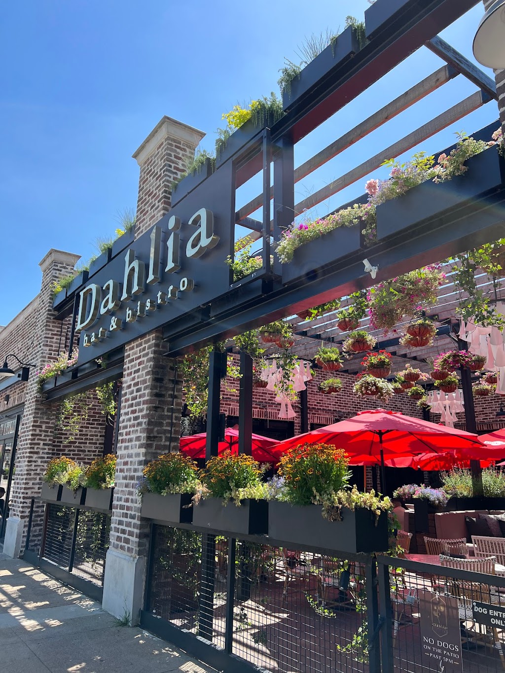 Dahlia Bar & Bistro | 3300 Ross Ave, Dallas, TX 75204, USA | Phone: (469) 466-8604