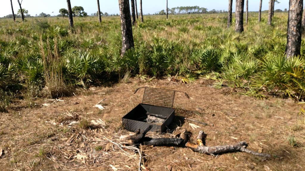 Prairie Primitive Campsite | Myakka City, FL 34251, USA | Phone: (941) 361-6511