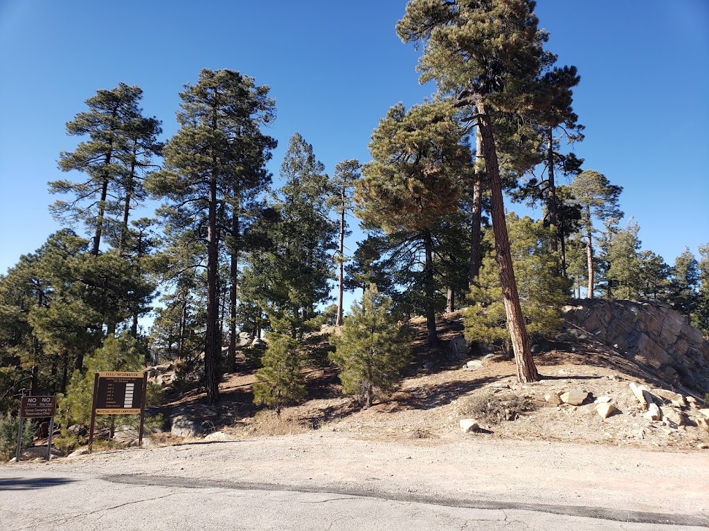 Whitetail Campground | 11200 E Whitetail Rd, Mt Lemmon, AZ 85619, USA | Phone: (520) 576-9198