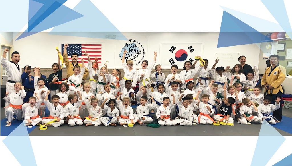 A+(Plus) TaeKwonDo Academy | 1707 E Central Rd, Arlington Heights, IL 60005, USA | Phone: (224) 875-7411