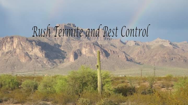 Rush Termite and Pest Control | 2599 W Bentrup St, Chandler, AZ 85224, USA | Phone: (480) 248-8350