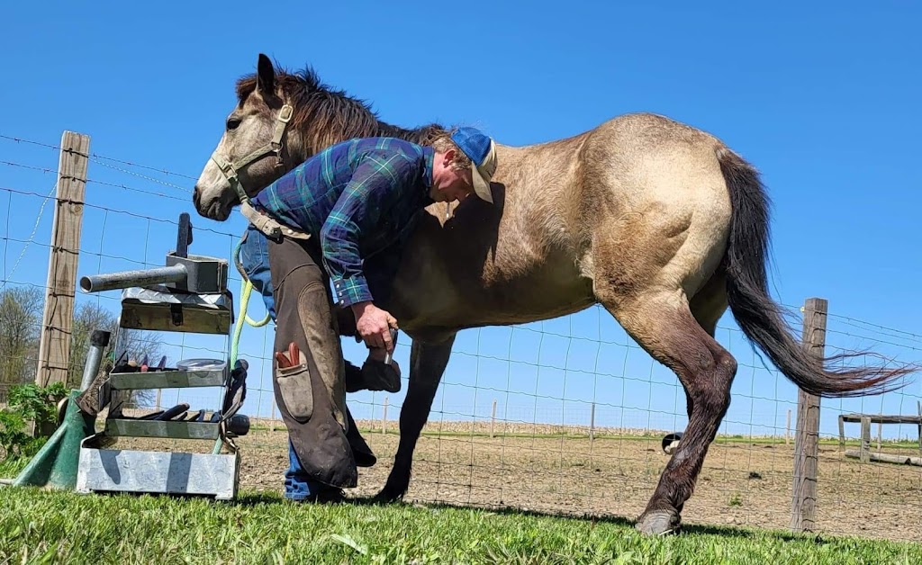 D.L. Farrier Services | 2644 S Bird Sanctuary Rd, Connersville, IN 47331, USA | Phone: (765) 580-9926