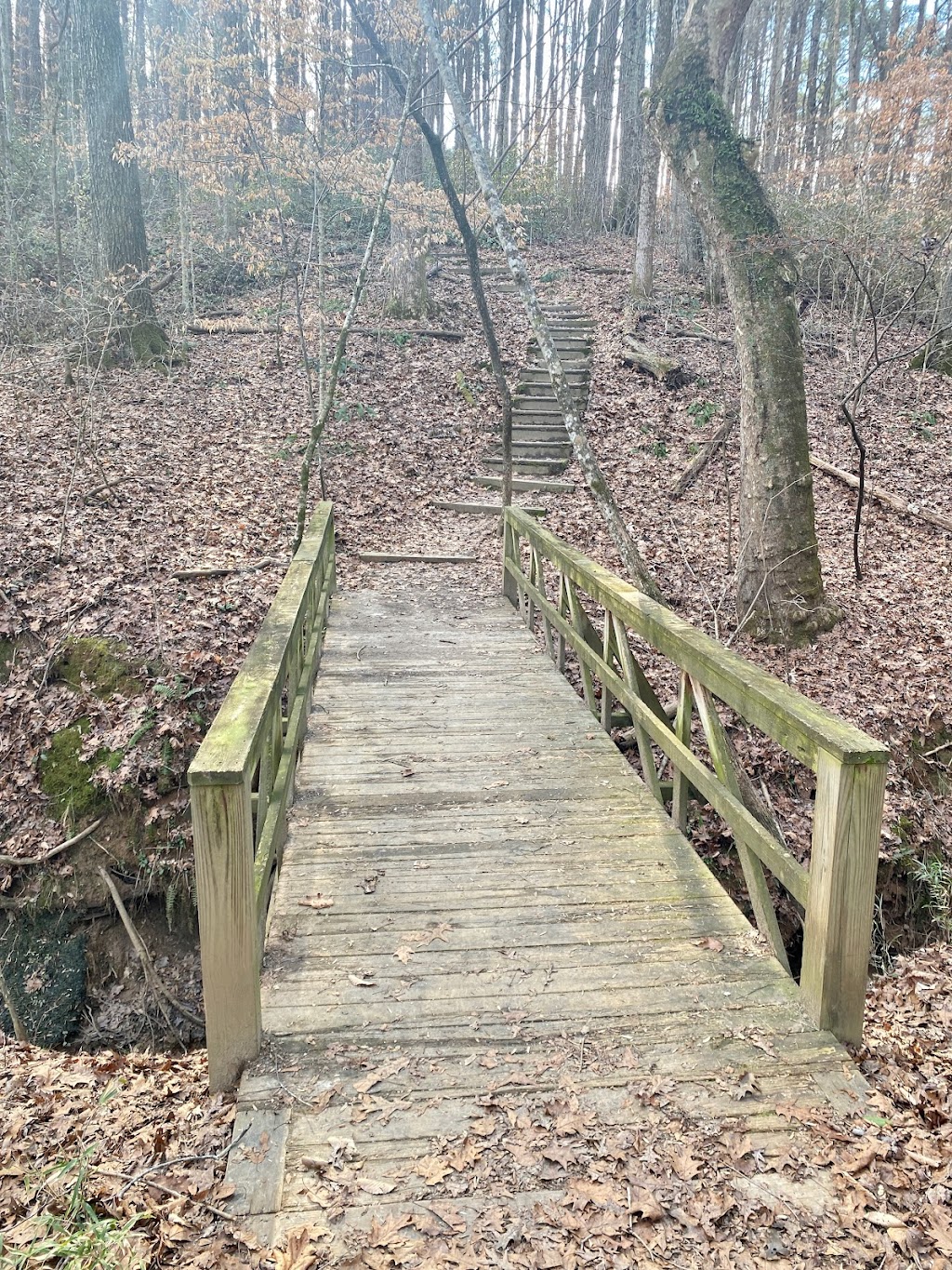 Medlock Bridge Chattahoochee River National Recreation Area | Medlock Bridge Rd, Duluth, GA 30097, USA | Phone: (678) 538-1200