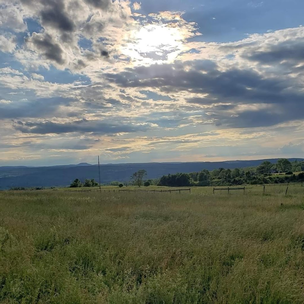 Lucky Duck Farm | 6067 NY-30, Schoharie, NY 12157, USA | Phone: (518) 244-0777