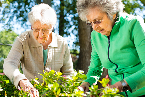 Arden Courts - ProMedica Memory Care Community (Jefferson Hills) | 380 Wray Large Rd, Jefferson Hills, PA 15025, USA | Phone: (412) 384-0300