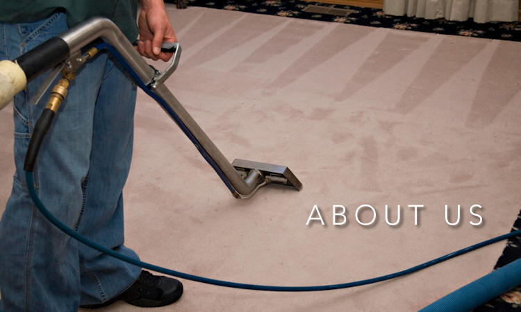 Blue Ribbon Carpet Cleaning | 924 Cardinal Ridge Rd, Burleson, TX 76028, USA | Phone: (817) 914-4450