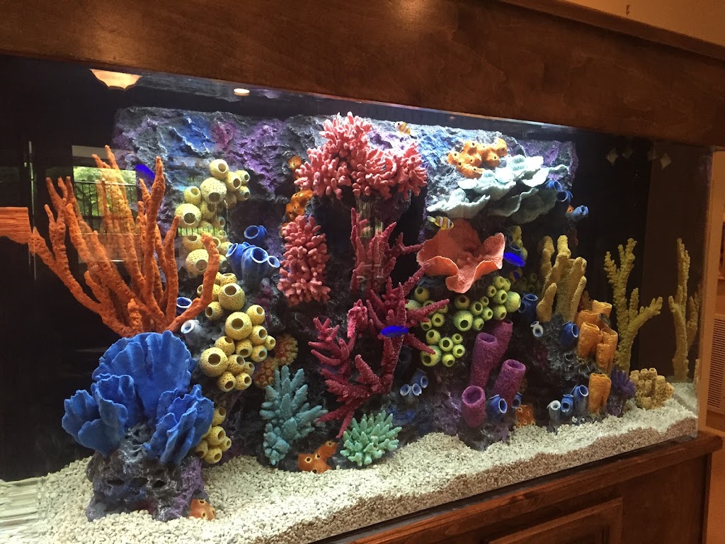 Aquarium Maintenance Service | 530 Moon Place Rd, Lawrenceville, GA 30044, USA | Phone: (770) 396-4889