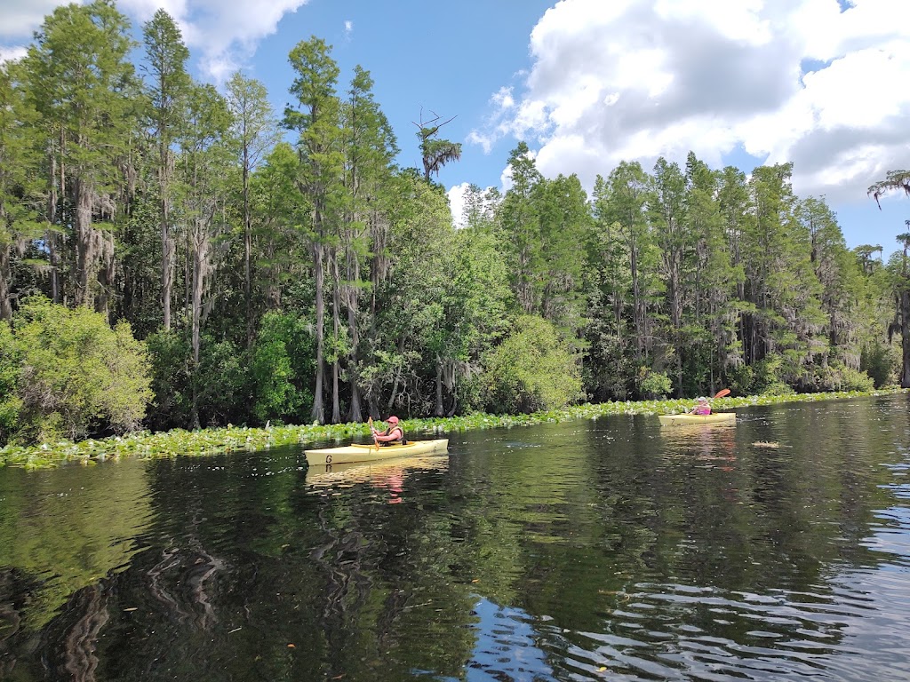 Okefenokee National Wildlife Refuge | 4155 Suwannee Canal Road, Folkston, GA 31537, USA | Phone: (912) 496-7836