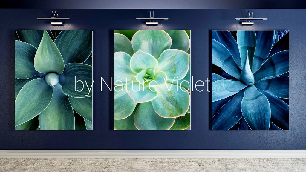 Nature Violet | 20621 SW 79th Ct, Cutler Bay, FL 33189, USA | Phone: (786) 355-1145