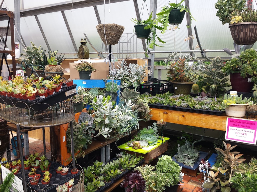 Oakland Nursery - New Albany | 5211 Johnstown Rd, New Albany, OH 43054, USA | Phone: (614) 917-1020