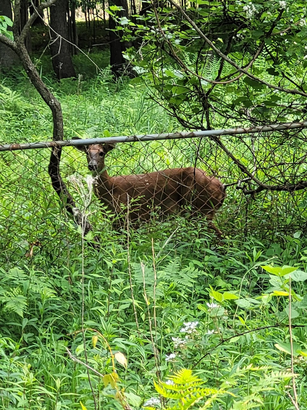 Ojibway Prairie Provincial Nature Reserve | 5200 Matchette Rd, Windsor, ON N9C 4E8, Canada | Phone: (519) 966-5852