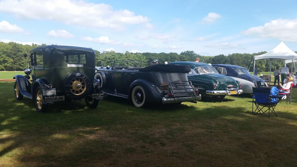 Bethpage Polo at the Park | Plainview Road &, Manchester Dr, Bethpage, NY 11714, USA | Phone: (516) 500-7656