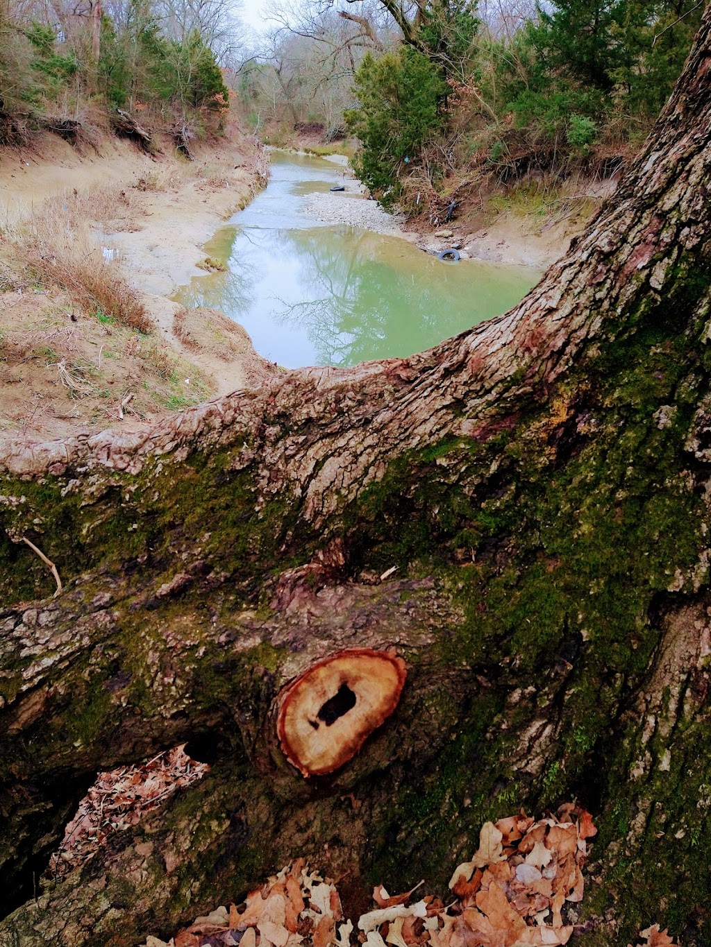 Spring Creek Forest Trails | 1770 Holford Rd, Garland, TX 75044, USA | Phone: (972) 205-2750