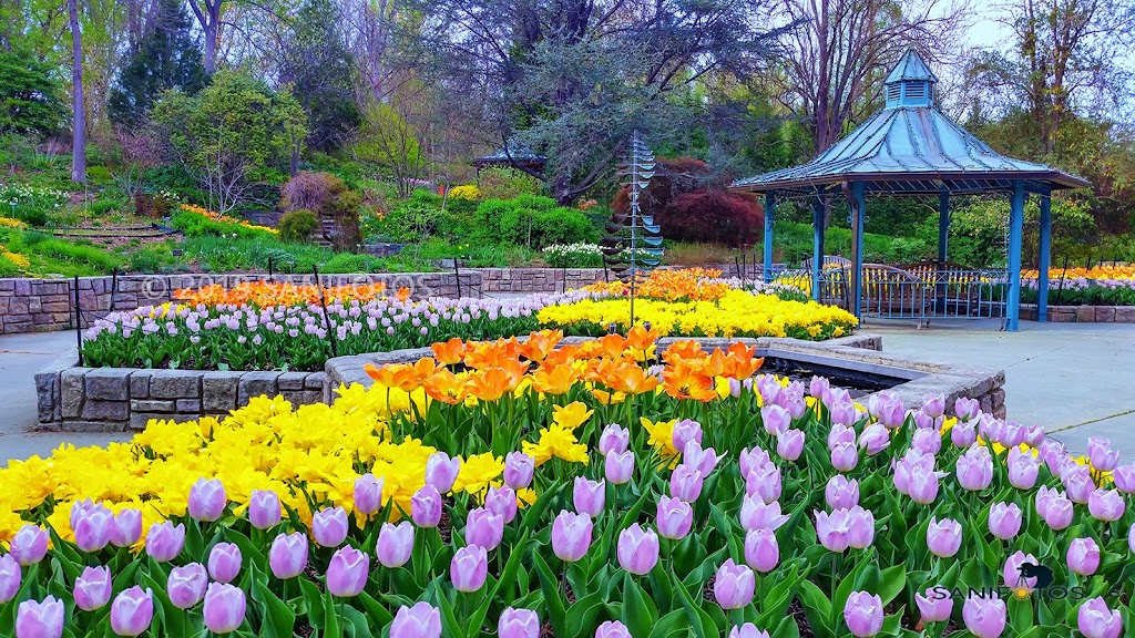 Brookside Gardens | 1800 Glenallan Ave, Wheaton, MD 20902, USA | Phone: (301) 962-1400