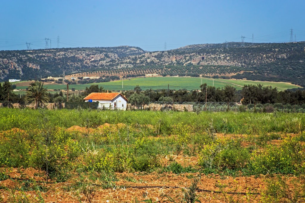 Eau Minérale Naturelle de Messerghine - مسرغين ماء معدني طبيعي | Zone industrielle numéro 1, Route du Lac, Misserghin 31180, Algeria | Phone: 0555 04 85 20