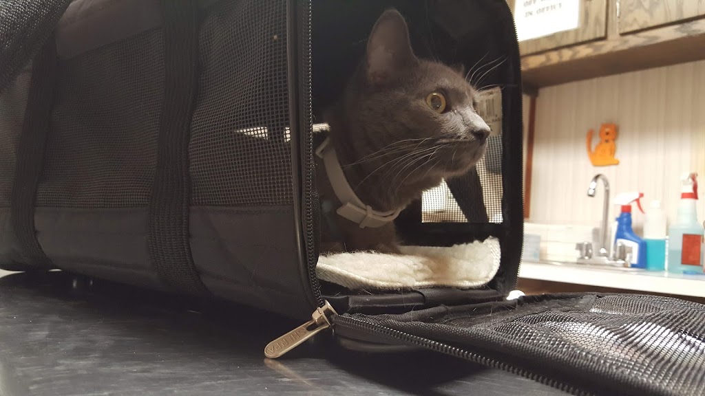 Animal Medical Center Uniontown | 783 Morgantown Rd, Uniontown, PA 15401, USA | Phone: (724) 438-8554