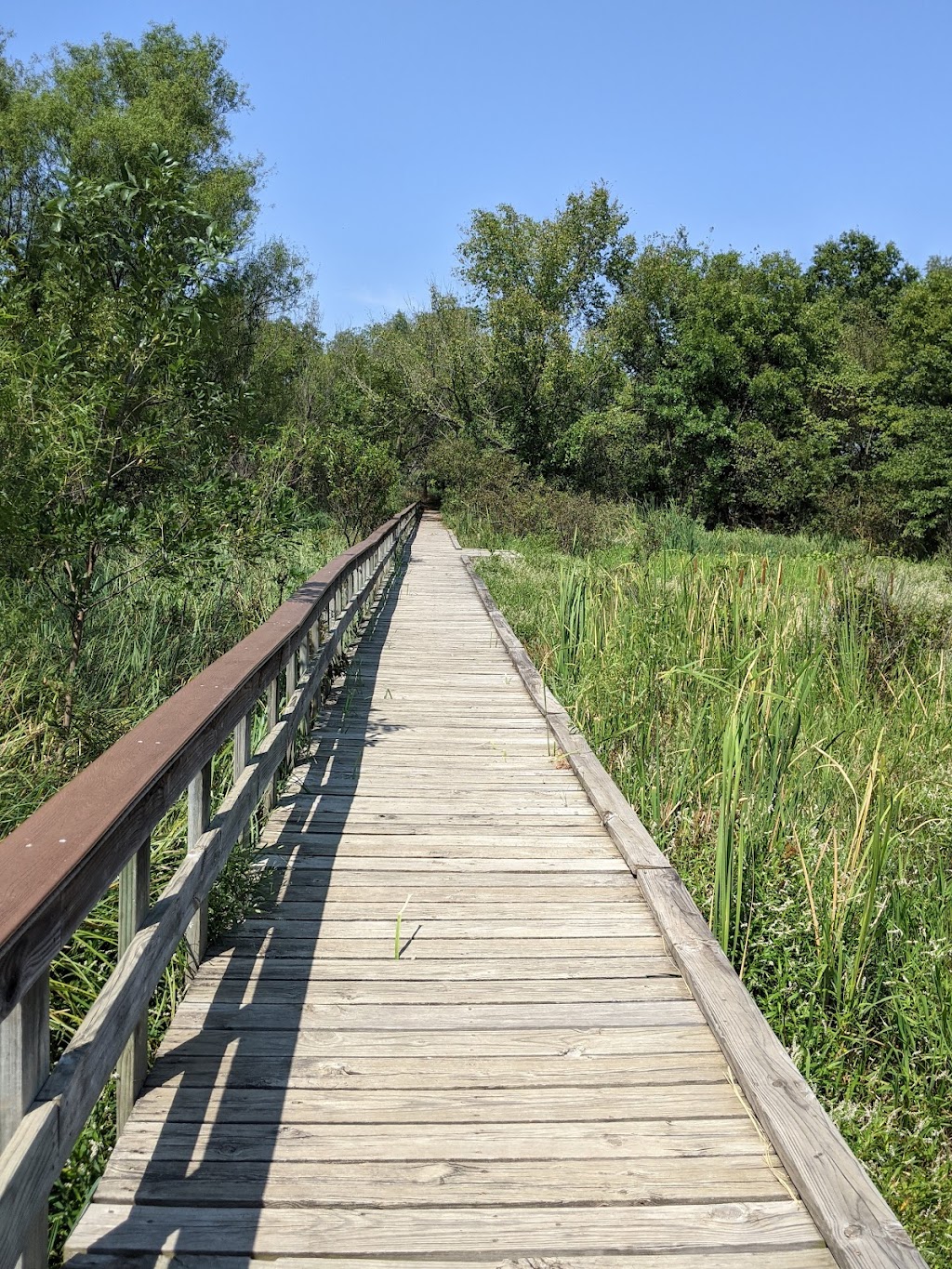 Oxley Nature Center | 6700 Mohawk Blvd, Tulsa, OK 74115, USA | Phone: (918) 596-9054