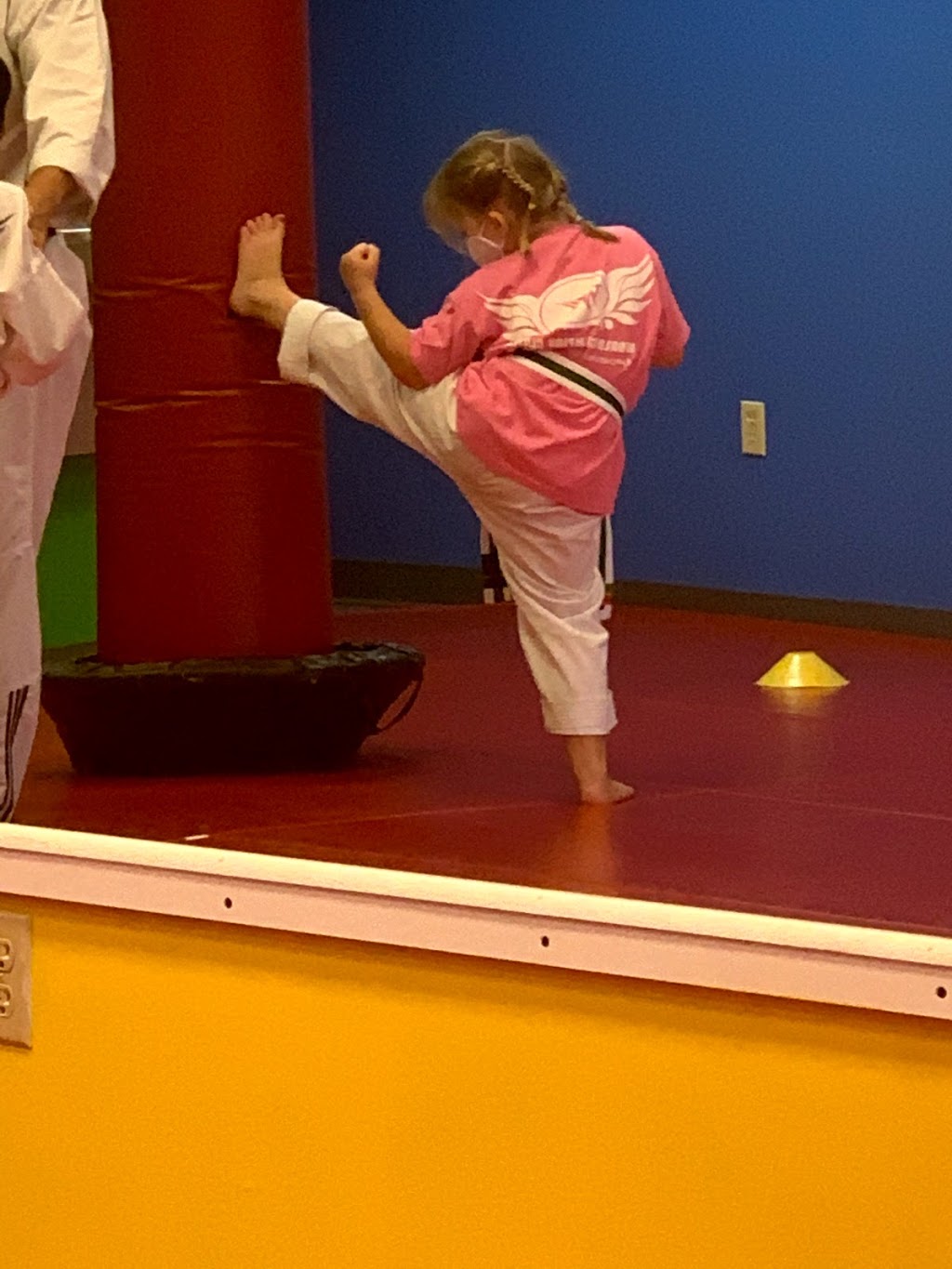 World Champion Center WCC Taekwondo Martial Arts School | 29440 FL-54, Wesley Chapel, FL 33543, USA | Phone: (813) 728-4409