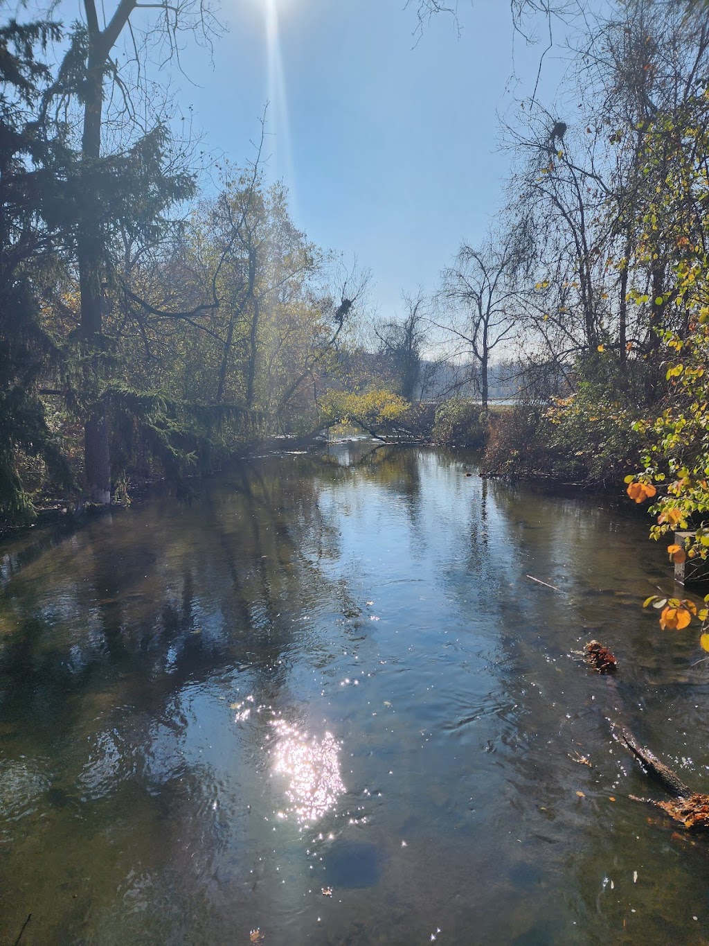 Drayton Plains Nature Center | 2125 Denby Dr, Waterford Twp, MI 48329, USA | Phone: (248) 674-5441