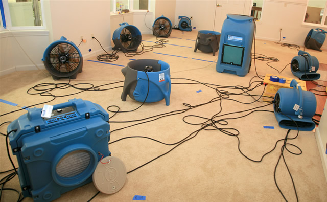 Louisville Carpet Cleaning & Flood Restoration | 3915 Benje Way, Louisville, KY 40241, USA | Phone: (502) 585-2444