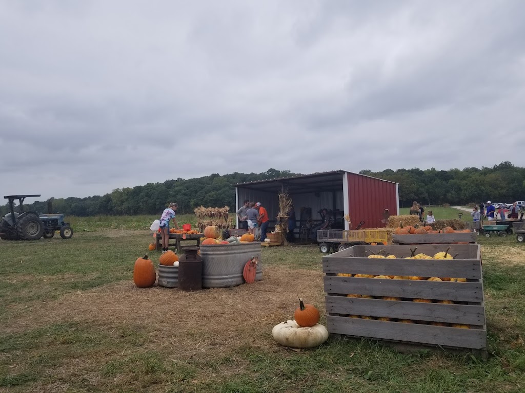 Powell Pumpkin Patch | 25695 Spring Valley Rd, Louisburg, KS 66053, USA | Phone: (913) 879-2477